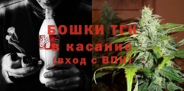 ПСИЛОЦИБИНОВЫЕ ГРИБЫ Верхний Тагил