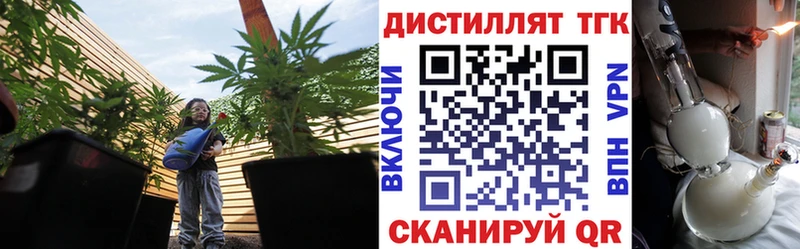 Купить  Лениногорск  ТГК жижа 