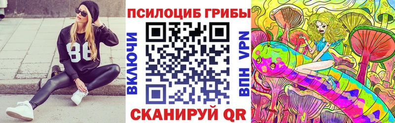 Галлюциногенные грибы Psilocybe  Купить где  Лениногорск 
